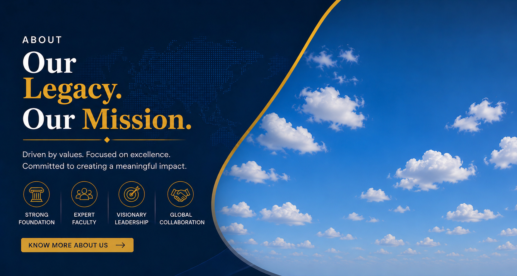About ILPMS University